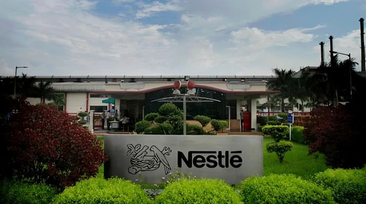 “Government Urges FSSAI to Take Action Against Nestle Over Sugar in Cerelac”